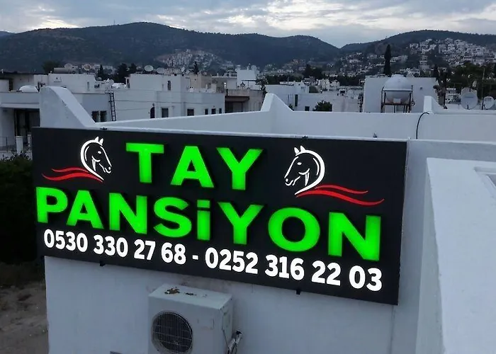 Tay 3*