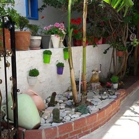 Tay 4* Bodrum