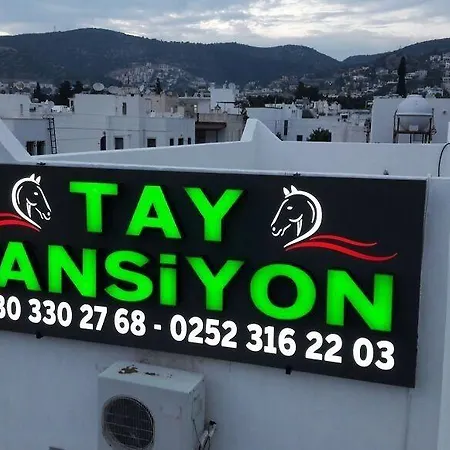 Tay 3*