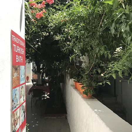 Tay Отель типа 